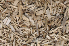 biomass boilers Bullwood